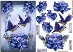 Birds & Roses