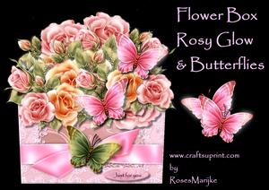 Flower Box Rosy Glow & Butterflies Mini Kit