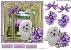 In the Window -