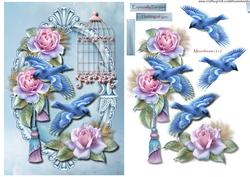 Birds & Roses