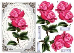 Roses for You -