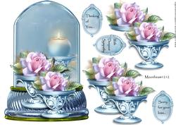 Globe Sympathy