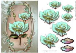 Gorgeous Roses