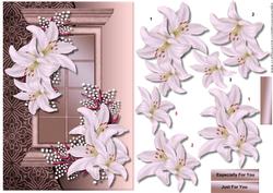Window Lovely Lilies