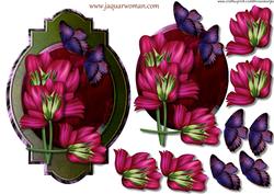 Panel Anemones
