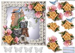 Beautiful Garden, Fountain & Roses in Lace Frame