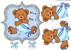 It's a Boy!