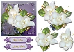 Male Card Camelias