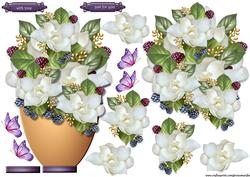 Vase & Camelias 1