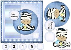 Cute Zebra Birthday Boy