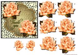Antique Roses Thank You