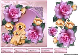 Roses for You