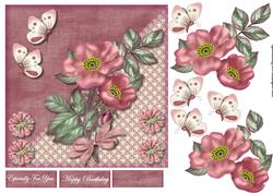Wild Roses & Butterflies