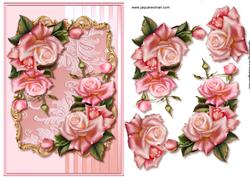 Pink Roses & Lace