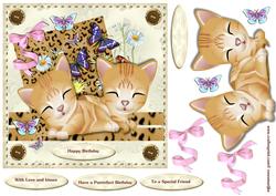 Purrrfect Birthday