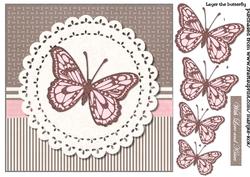 Butterfly Beauty