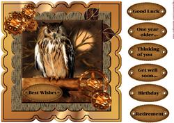 Scallop Topper Male Card Wise Owl
