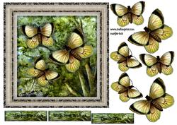 Male Card Vintage Butterflies