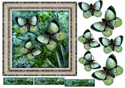 Male Card Vintage Butterflies 2