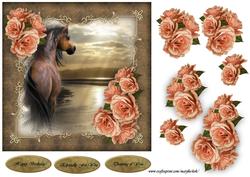 Beautiful Horse & Vintage Roses