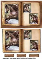 Male Card Horses Book