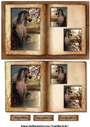 Male Card Horses Book
