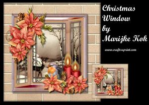 Christmas Window & Poinsettias