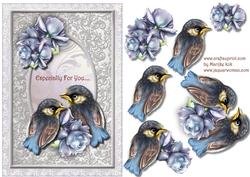 Precious Birds - especially for You
