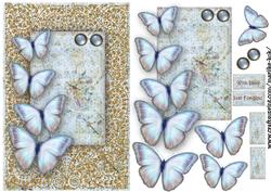 Butterfly Beauty 2