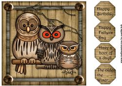 Male Card Topper Wise Owls