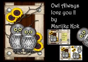 Owl Always Love You Male Card