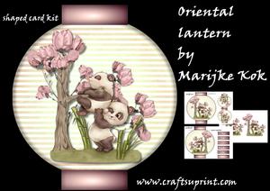 Oriental Lantern Mini Kit
