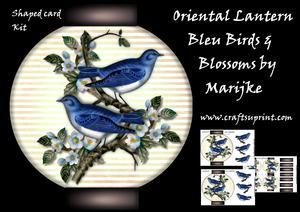 Mini Kit Oriental Lantern Bleu Birds & Blossoms