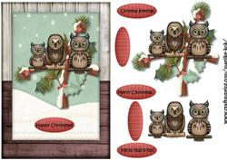 Christmas Owls