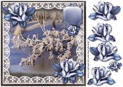 Winter Scene & Ice Roses