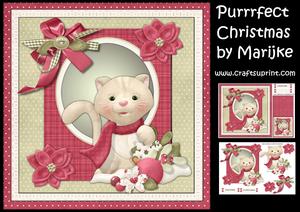Purrrfect Christmas !