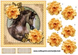 Beautiful Horses 2