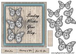 Butterfly Wishes - 