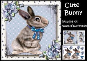 Cute Bunny Mini Kit