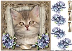 Cute Kitten 2