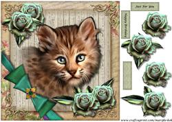 Beautiful Eyes - 