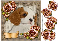 Puppy Love