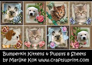 Bumperkit Puppys & Kittens