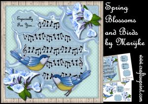 Spring Blossoms and Birds