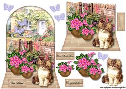 New Home Cottage & Kitten