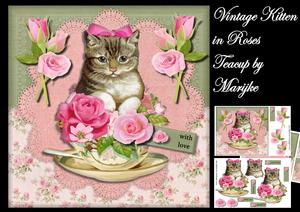 Vintage Kitten in Roses Teacup