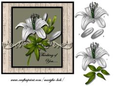 Sympathy White Lilies