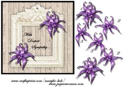 Sympathy Purple Orchids