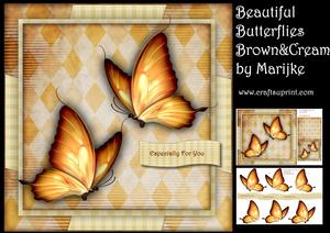 Beautiful Butterflies Cream & Brown Mini Kit