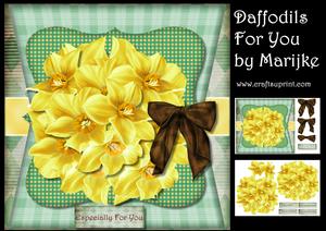 Daffodils for You Mini Kit